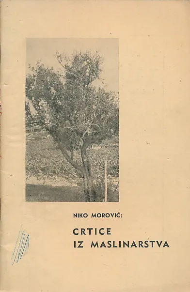 Crtice iz maslinarstva