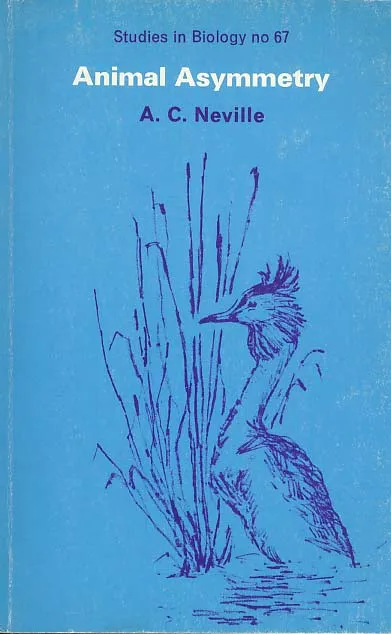 Animal Asymmetry