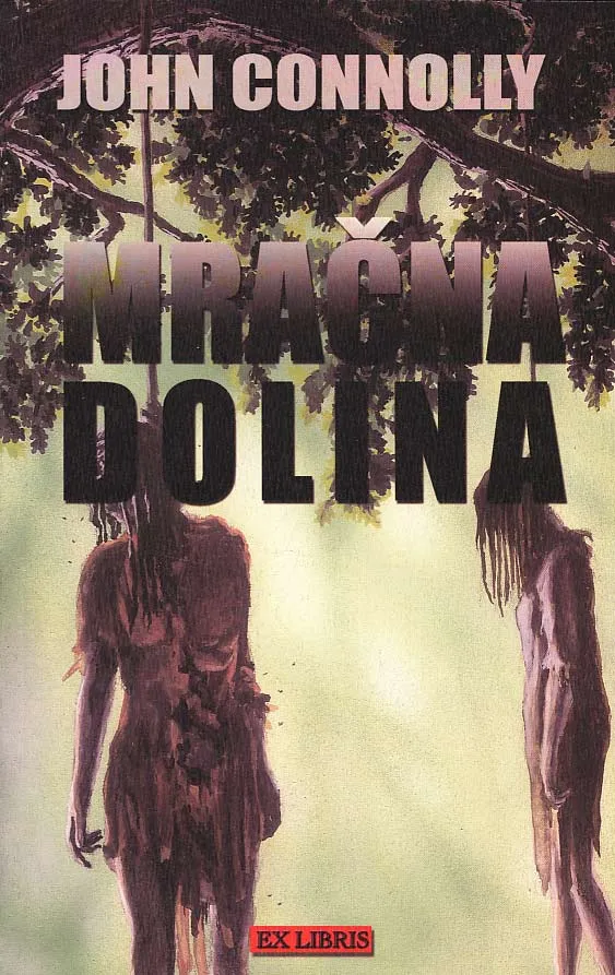 Mračna dolina (tvrdi uvez)