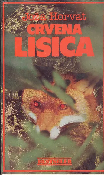 Crvena lisica