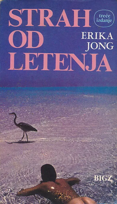 Strah od letenja