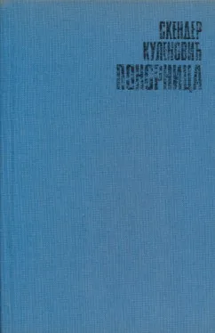 Ponornica
