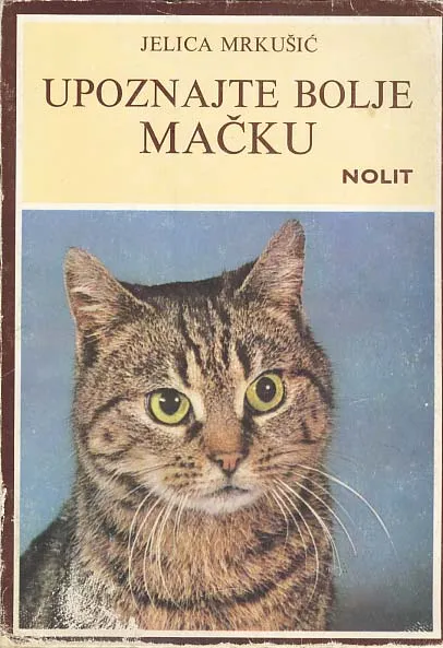 Upoznajte bolje mačku