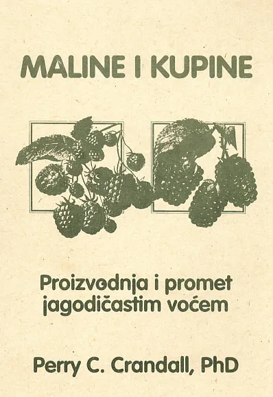 Maline i kupine - Proizvodnja i promet jagodičastim voćem