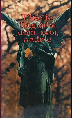 Pogledaj dom svoj, anđele