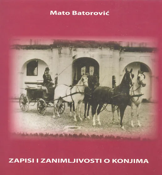 Zapisi i zanimljivosti o konjima