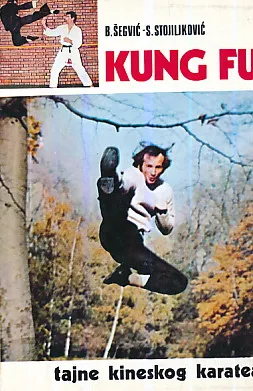 Kung fu Tajne kineskog karatea