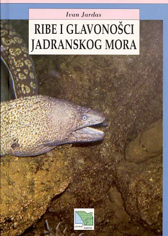 Ribe i glavonošci jadranskog mora