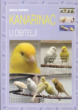 Kanarinac u obitelji