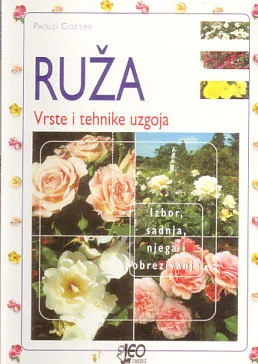 Ruža - vrste i tehnike uzgoja