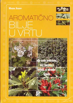 Aromatično bilje u vrtu