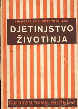 Djetinjstvo životinja