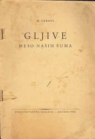 Gljive - meso naših šuma