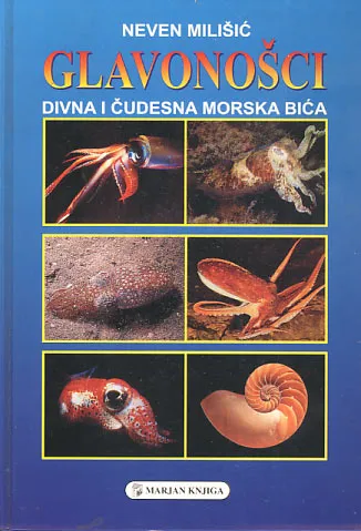 Glavonošci - Divna i čudesna morska bića