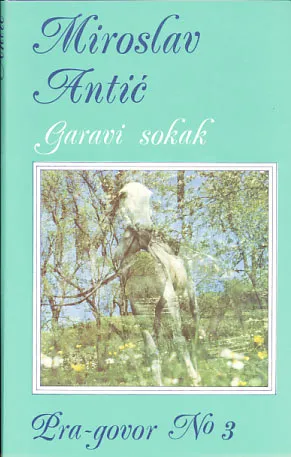 Garavi sokak