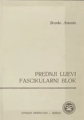 Prednji lijevi fascikularni blok: elektrovektokardiografske studije
