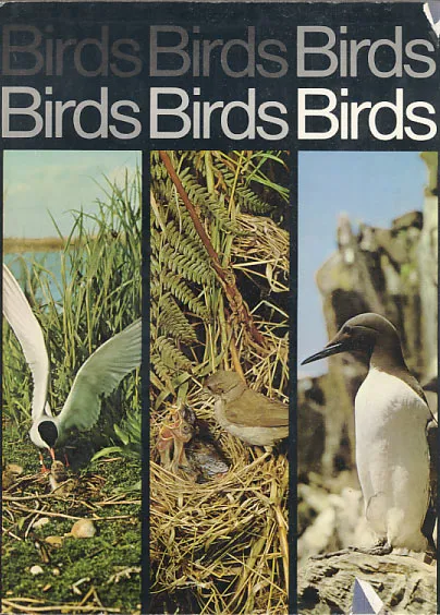 Birds