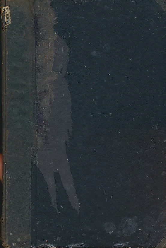 Sa Jadrana do Gave: crte i utisci s II. hrv. hodočašća u Lurd