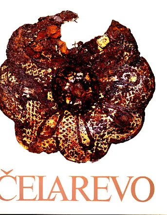 Čelarevo: risultati delle ricerche nelle necropoli dell  alto medioevo