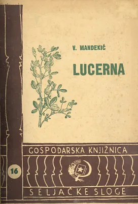 Lucerna