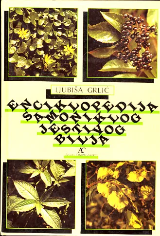 Enciklopedija samoniklog jestivog bilja