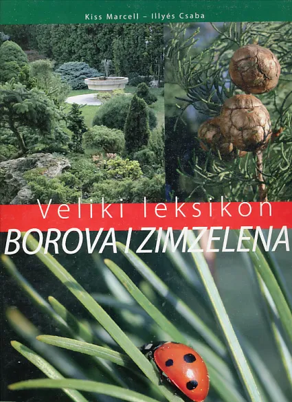 Veliki leksikon borova i zimzelena