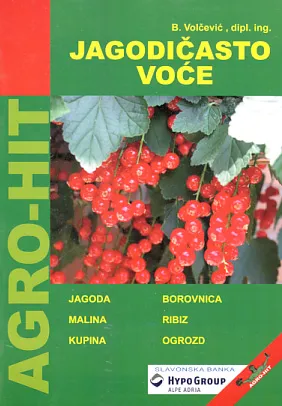Jagodičasto voće