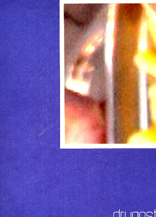Drugost, časopis za kulturalne studije, 2/2011