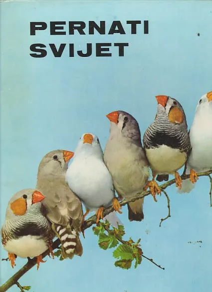 Pernati svijet
