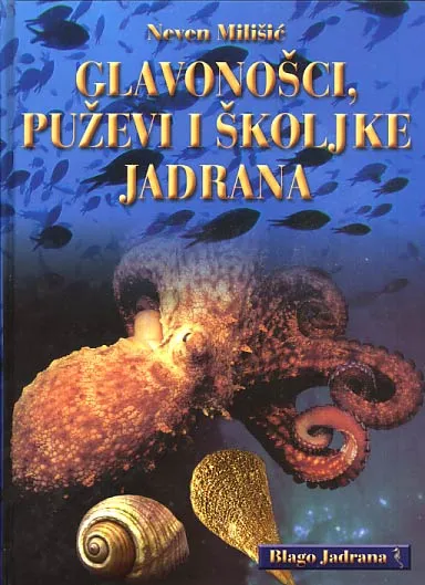 Glavonošci, puževi i školjke Jadrana