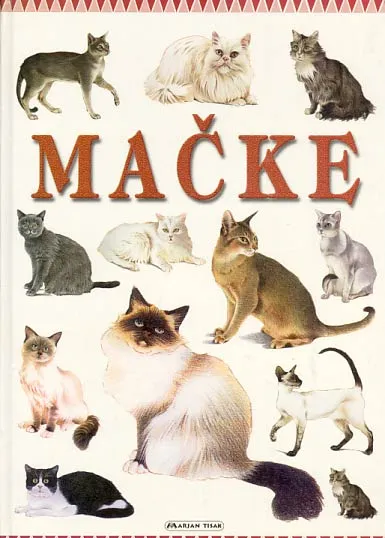 Mačke