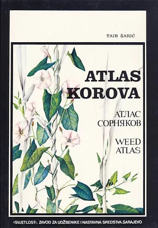 Atlas korova