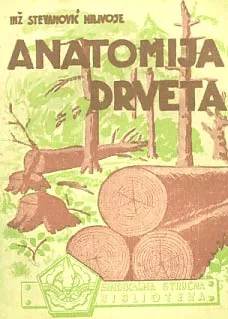Anatomija drveta