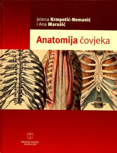 Anatomija čovjeka