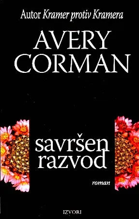 Savršen razvod