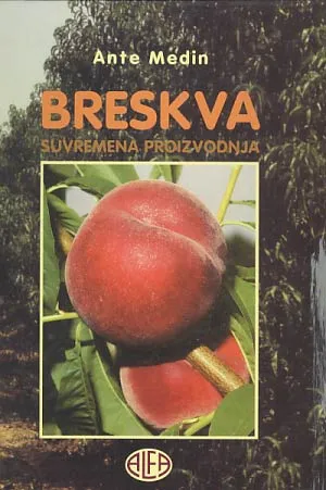Breskva: suvremena proizvodnja