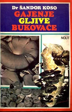 Gajenje gljive bukovače