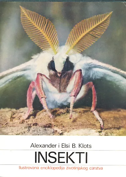 Insekti