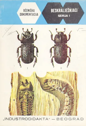 Beskralješnaci