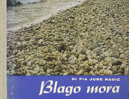 Blago mora: čarobni svijet školjaka