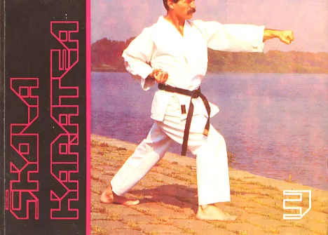 Škola karatea 3