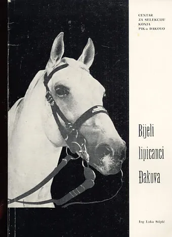 Bijeli Lipicanci Đakova