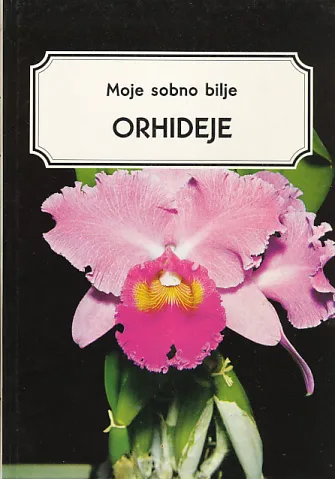 Moje sobno bilje, Orhideje
