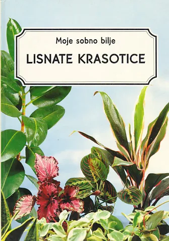 Moje sobno bilje, Lisnate krasotice