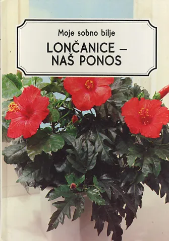 Moje sobno bilje, Lončanice - naš ponos