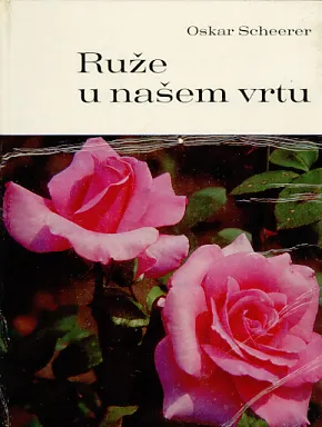 Ruže u našem vrtu
