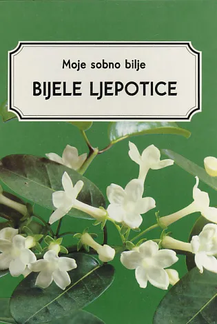 Moje sobno bilje: Bijele ljepotice