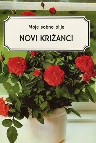Moje sobno bilje: Novi križanci