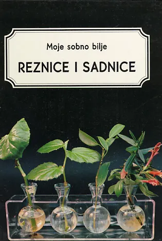 Moje sobno bilje: Reznice i sadnice