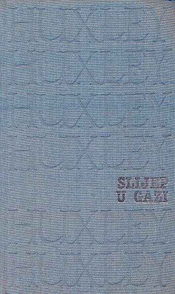Slijep u Gazi